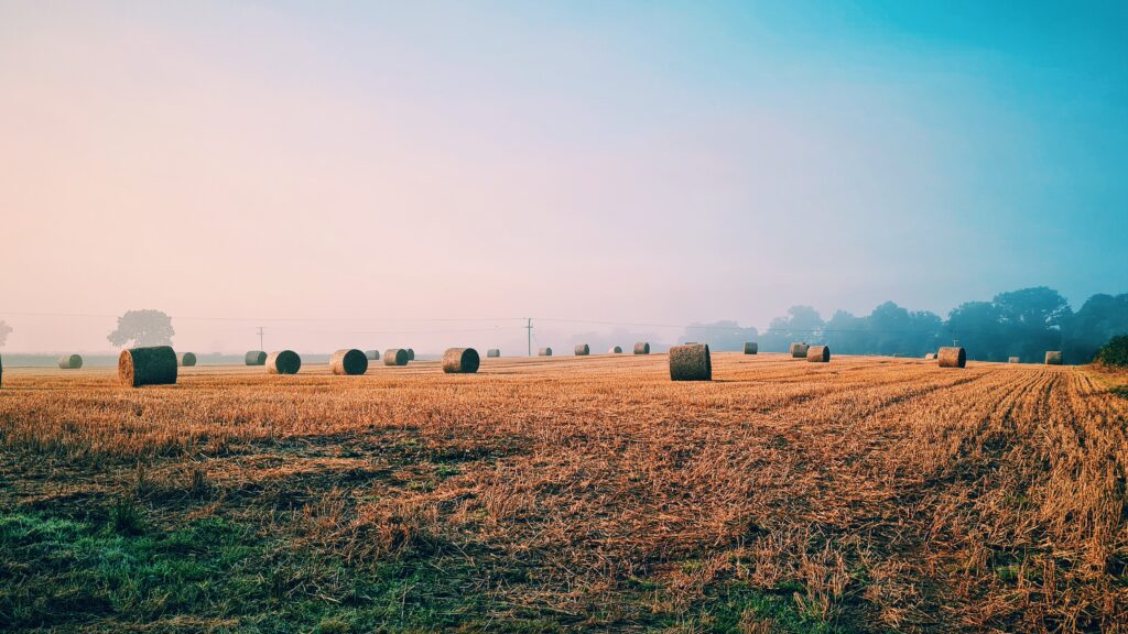 Hay bales in a field. Herefordshire 2021